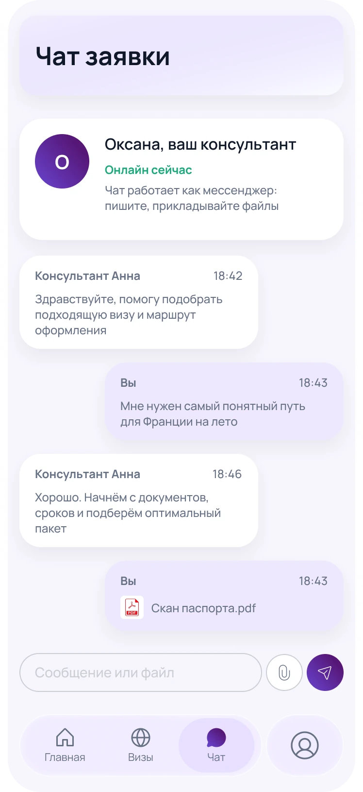 Чат заявки с консультантом CentreVisa